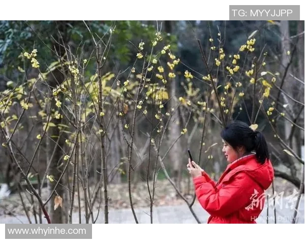 早报:这棵树刚刚爬上去就匆匆下来了引发众人热议 早报:这棵树刚刚爬上去就匆匆下来了引发众人热议